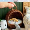 Miniature Rattan Cat Nest