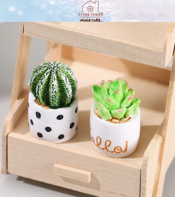 Miniature Potted Cactus Plants