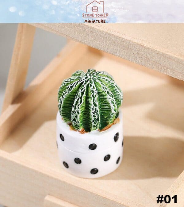 Miniature Potted Cactus Plants