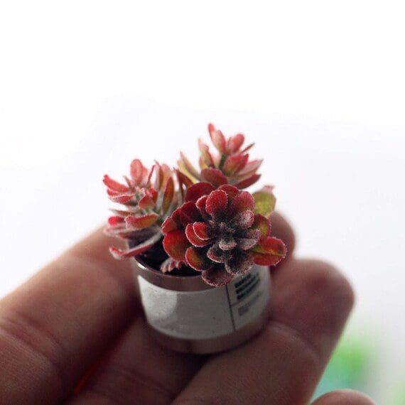 Miniature Green Potted Plants