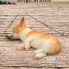 Miniature Sleeping Welsh Corgi