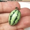 Miniature Simulation Watermelon