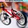 Miniature Mountain Bike Model