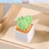 Miniature Potted Cactus Plants