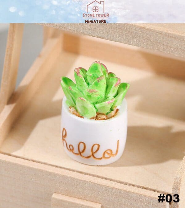 Miniature Potted Cactus Plants