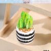 Miniature Potted Cactus Plants