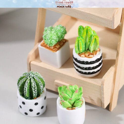 Miniature Potted Cactus Plants