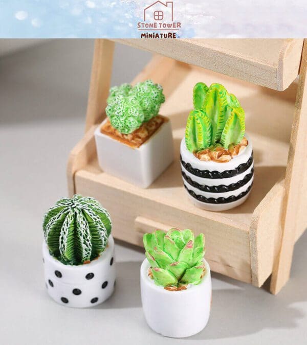 Miniature Potted Cactus Plants