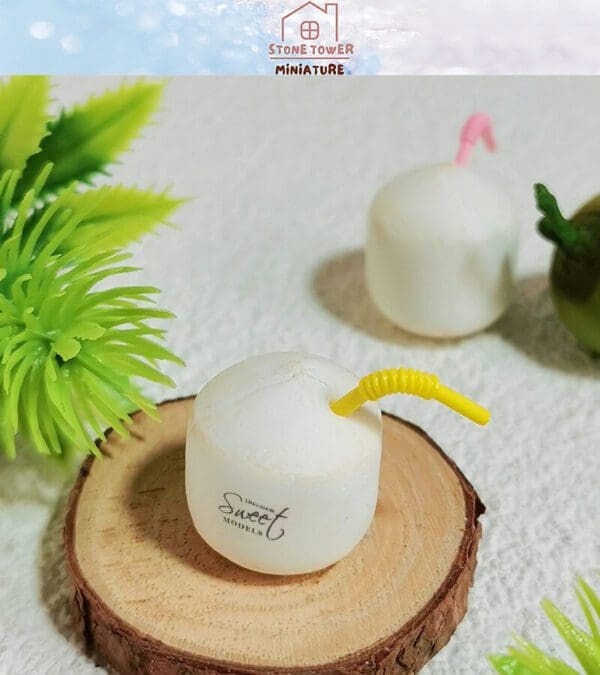 Miniature Coconut Drink Food