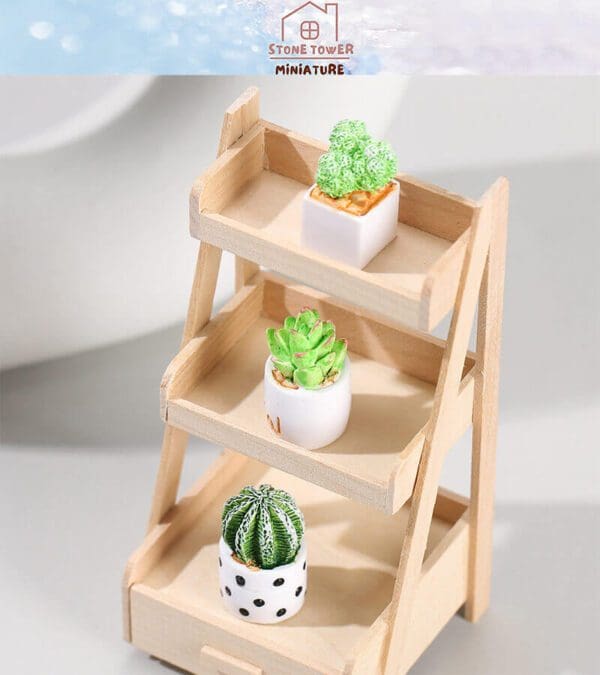 Miniature Potted Cactus Plants