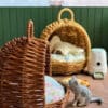 Miniature Rattan Cat Nest